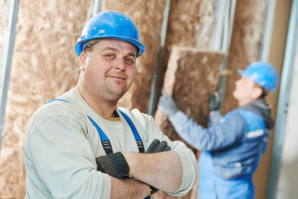 Best Commercial Insulation in Southern View, IL