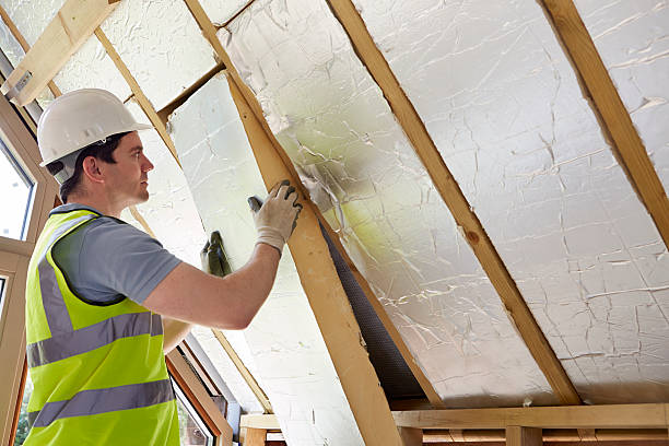 Best Energy Efficiency Solutions in Southern View, IL